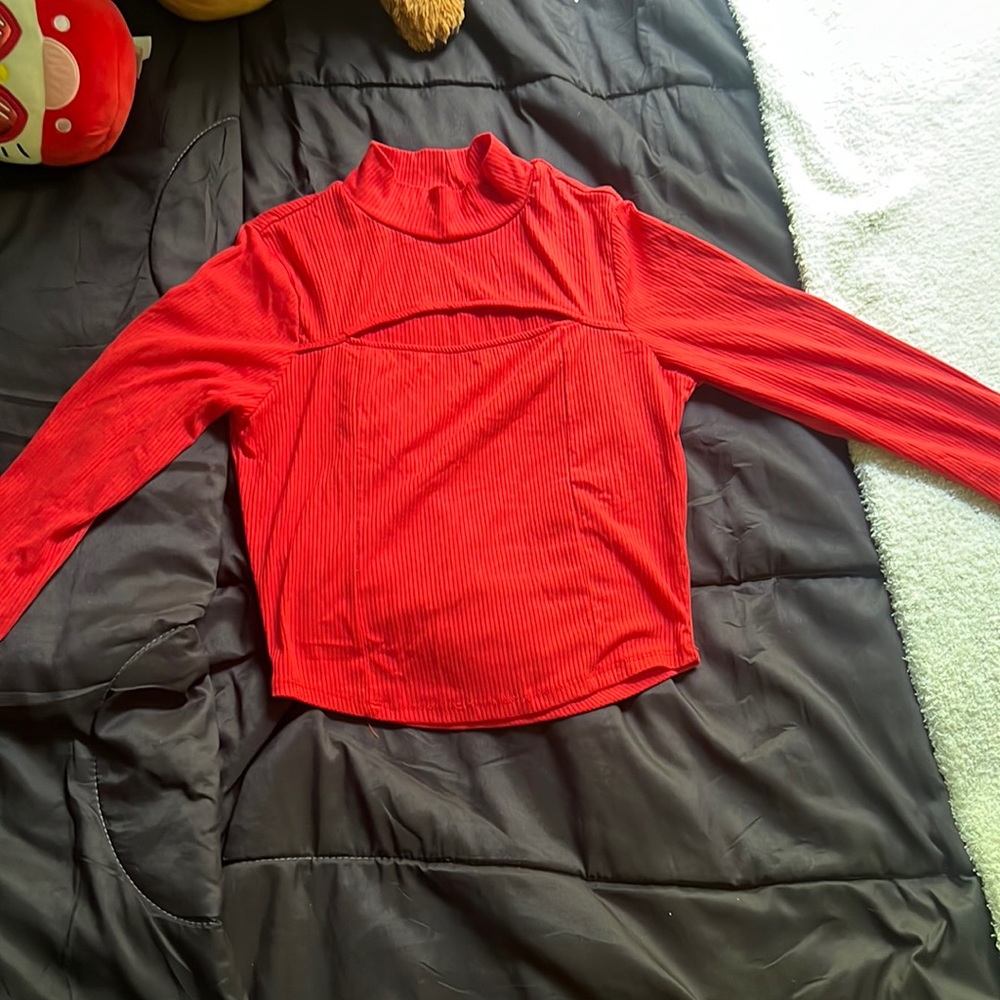 Red Crop Top